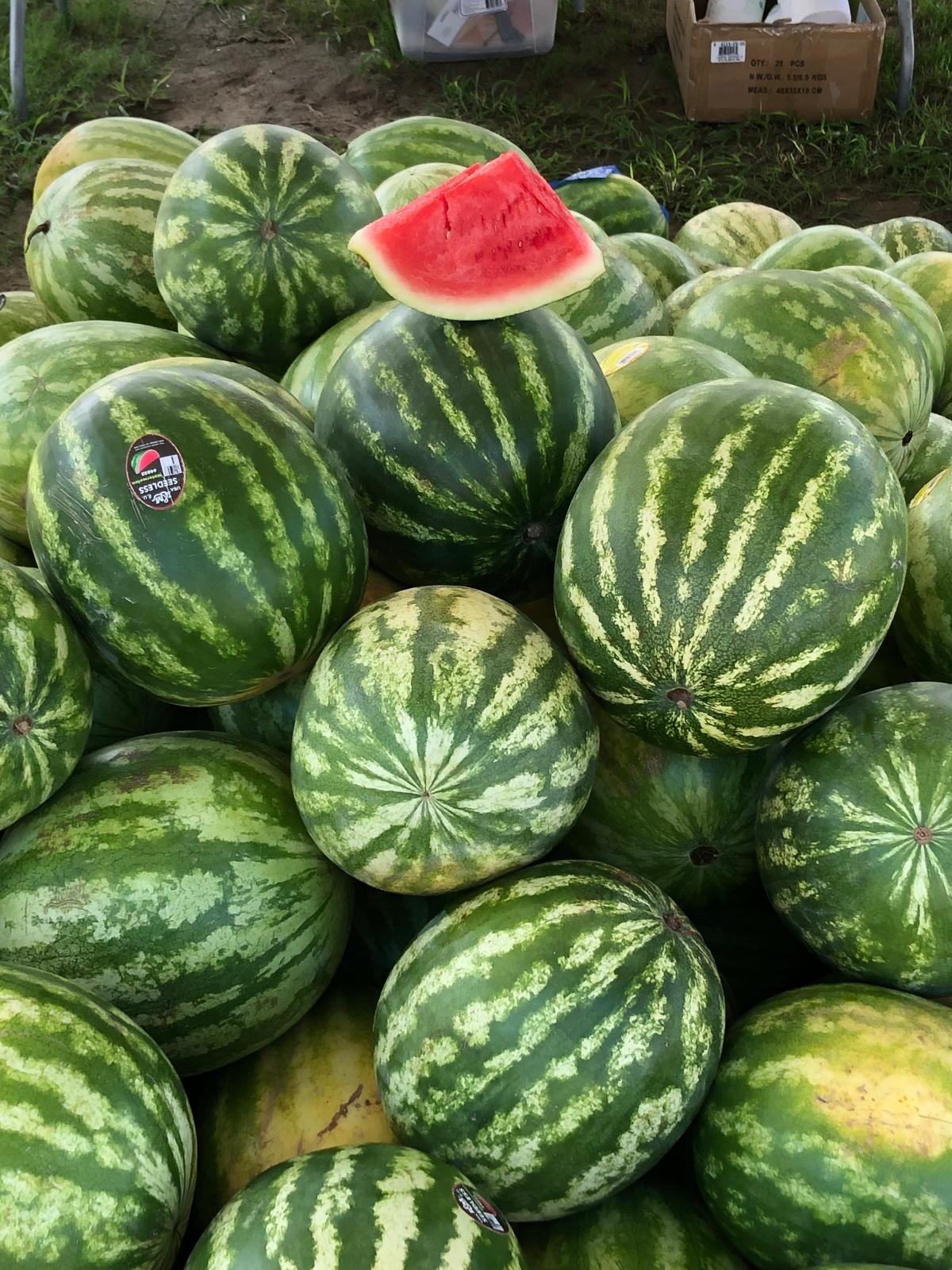20th Annual Watermelon Festival Event