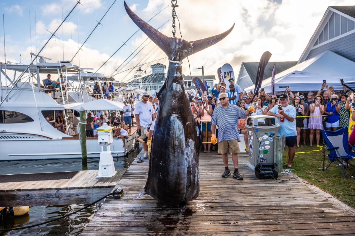 41st Pirate's Cove Billfish Tournament Event