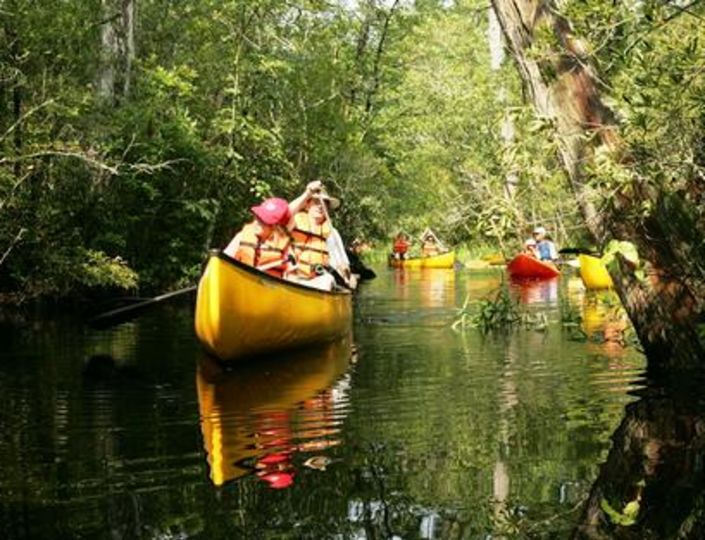 Wings Over Water Wildlife Festival Event