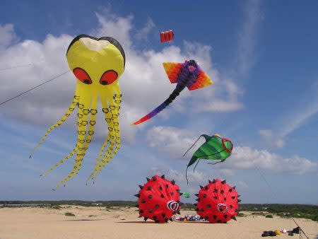 Outer Banks Kite Festival Event