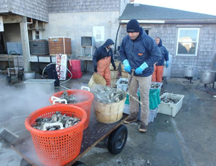 Hatteras Island Oyster Roas Event