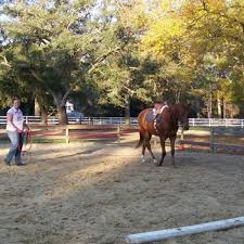 Things To Do Eterna Riverview Stables