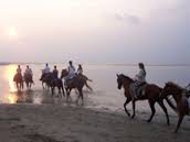 Things To Do Outer Banks Riding Stables