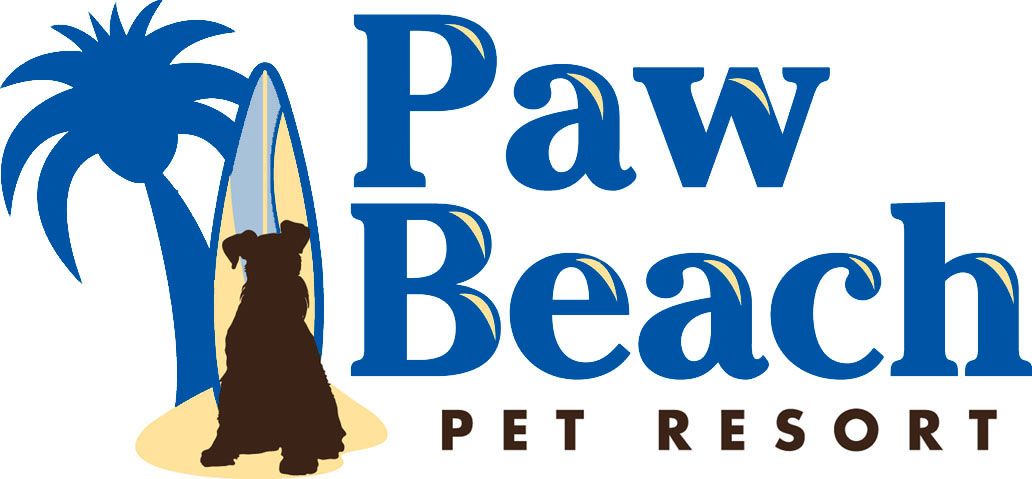 Things To Do Beach Paws Pet Resort