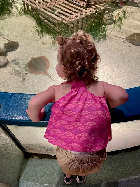 Things To Do Top Things to do with Kids