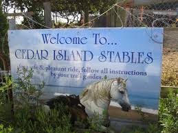 Things To Do Cedar Island Stables