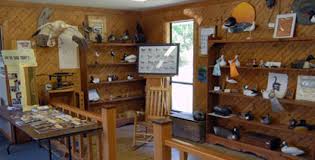 Things To Do Core Sound Decoy Carvers Guild