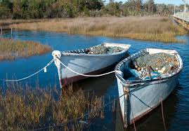 Things To Do Down East