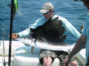 Things To Do Fin-S Charters