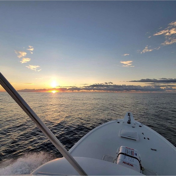 Things To Do Bait & Tackle