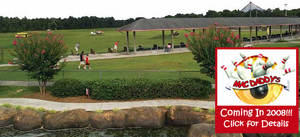 Things To Do Golfin' Dolphin