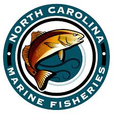 Things To Do NC Division of Marine Fisheries