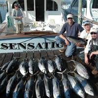 Things To Do Sensation Sportfishing