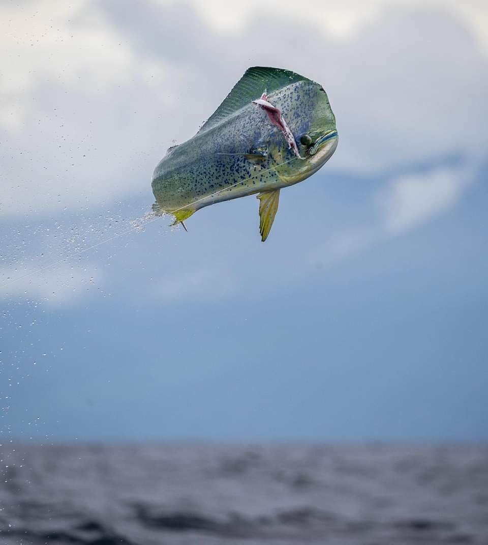 Thing To Do OBX Fishing